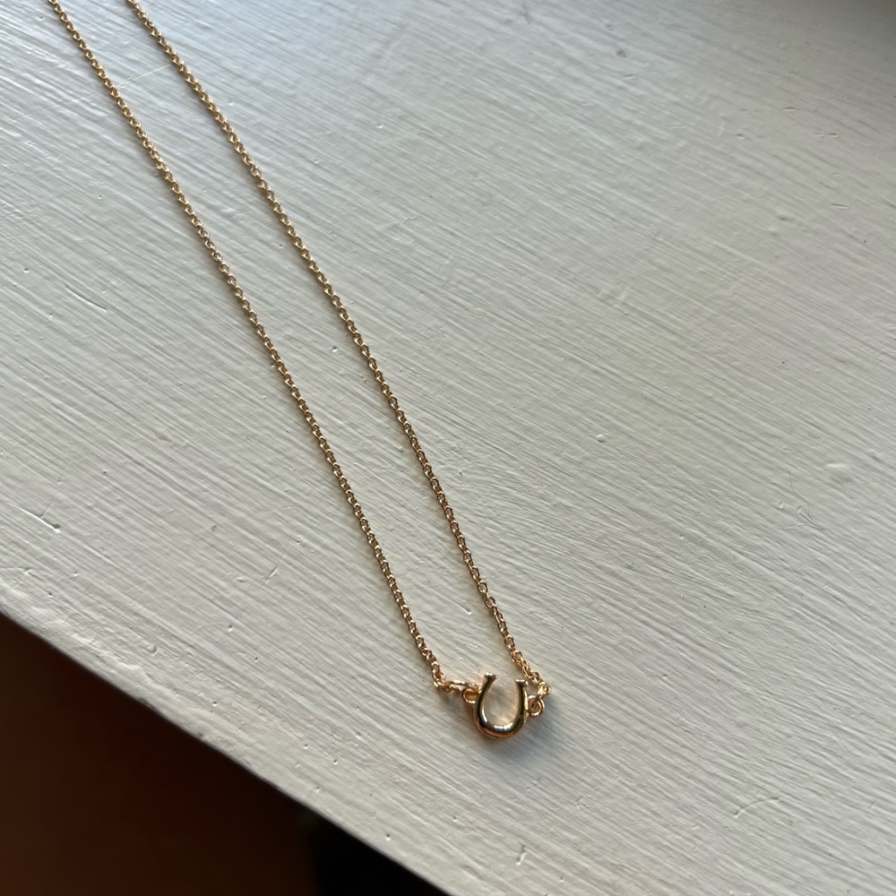 Elegant Gold Horseshoe Necklace